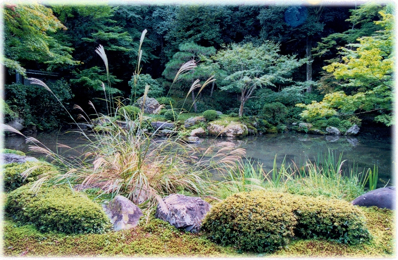 Garden 10, Kyoto Japan.jpg